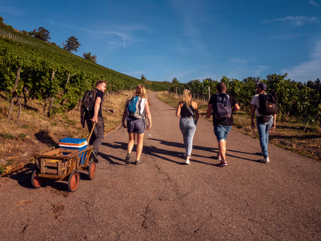 Wine hike